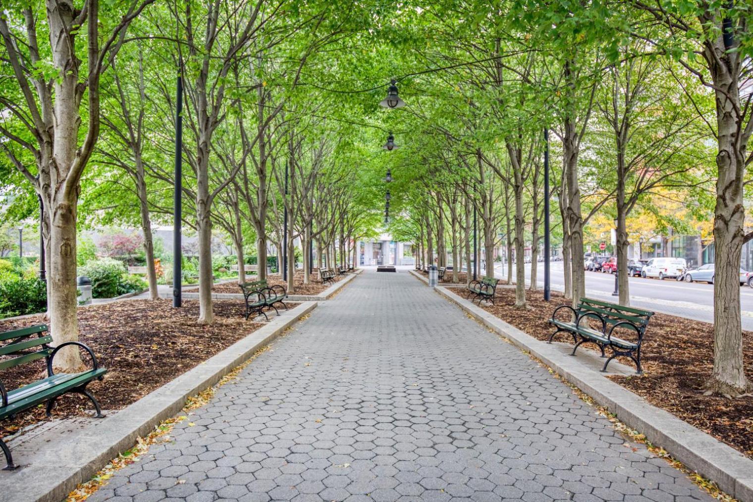 Fetching Fidi Studio In Luxury Building Nyc-227 Apartment New York Exterior photo